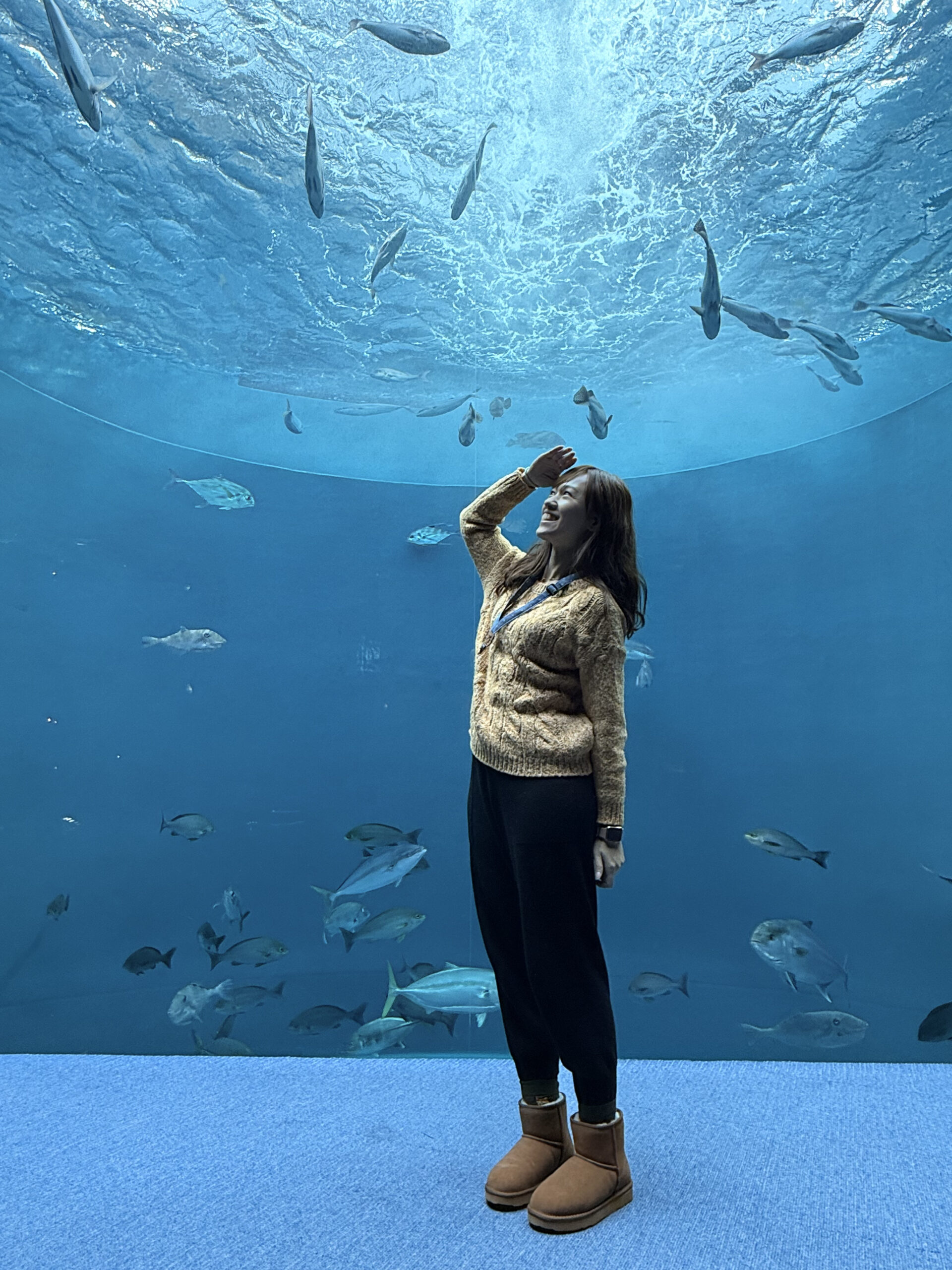 ▉日本四國▉香川縣‧四國水族館。壯觀的黑潮與鳴門漩渦模擬區